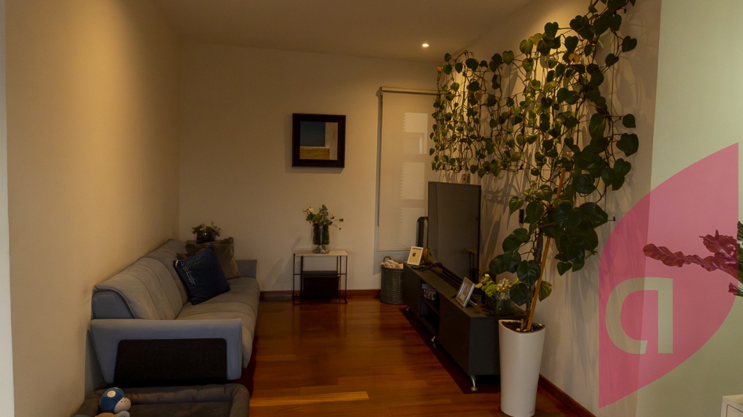 Venta Penthouse con Amenidades y RoofGarden Privado en Coyoacán  - foto 7
